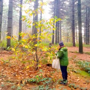 10397_1677437529172910_1255659493250532981_n (3)