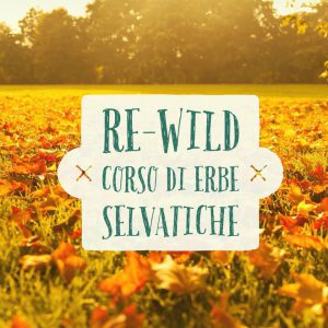 12509370_523769341134639_809220281412888214_n (1)