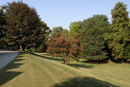 villamapellimozzi_029