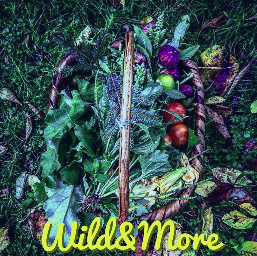 Wild&More - cibo selvatico
