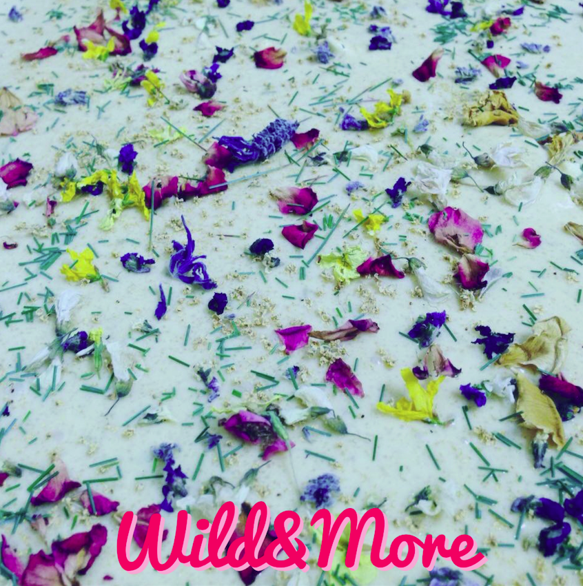 Wild&More - Pikniq - snack cibo selvatico