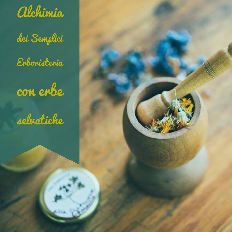Alchimia dei Semplici Pikniq
