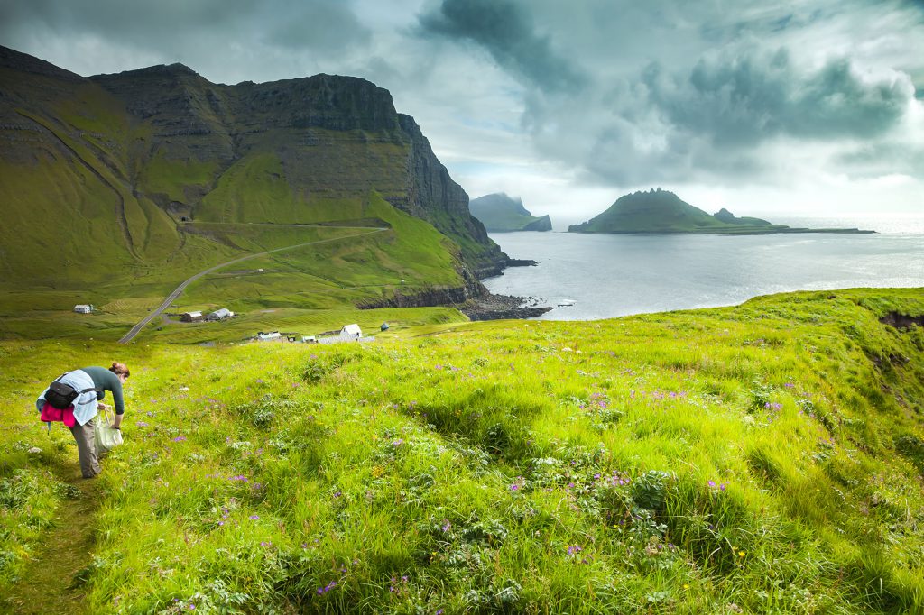 faroeforaging_pikniq_ryckvalli_srgbredux
