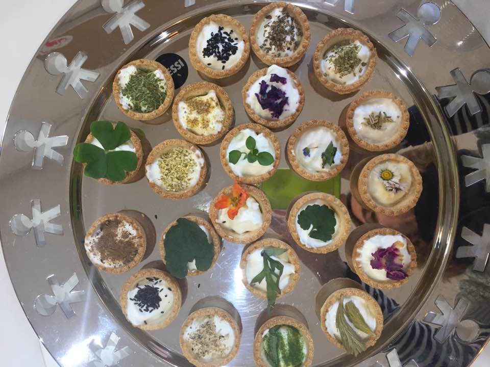 15873566_10211753728025165_999775102687919078_n